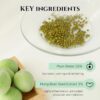 BEAUTY OF JOSEON GREEN PLUM REFRESHING NETTOYANT