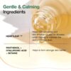 Anua Heartleaf 80% Moisture Soothing Ampoule 30 ml
