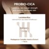 SKIN1004 Lotion tonique à l'essence Centella Probio-Cica de Madagascar 210 ml