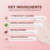SKIN1004 Madagascar Centella Poremizing Quick Clay Stick Mask 27g