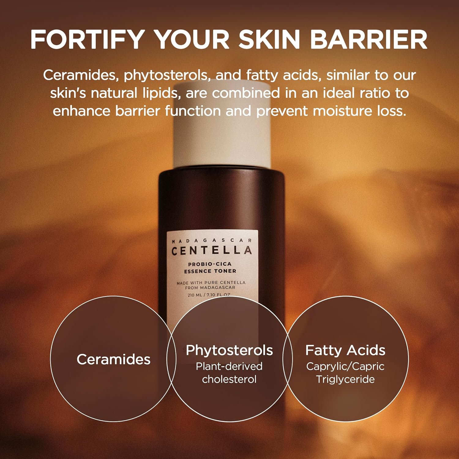 SKIN1004 Lotion tonique à l'essence Centella Probio-Cica de Madagascar 210 ml - Image 3